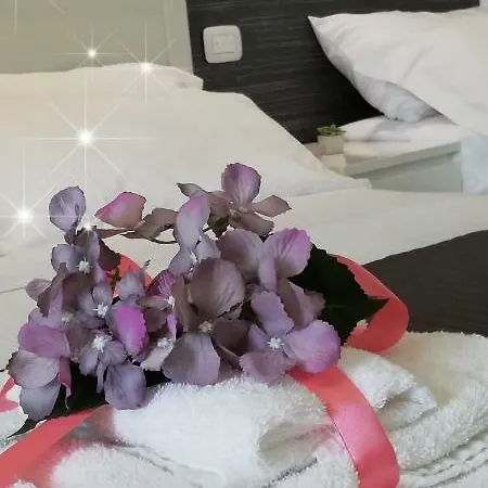 Miro * Агридженто